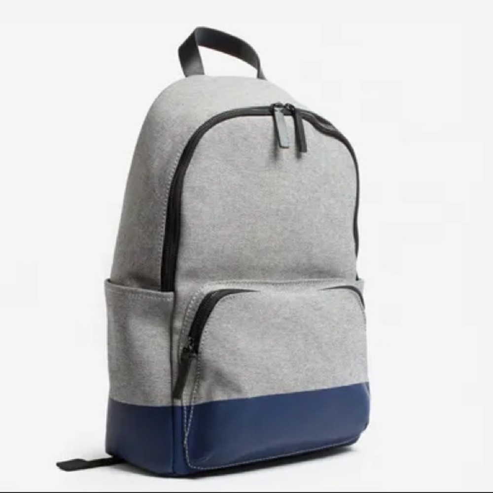 Everlane Backpack